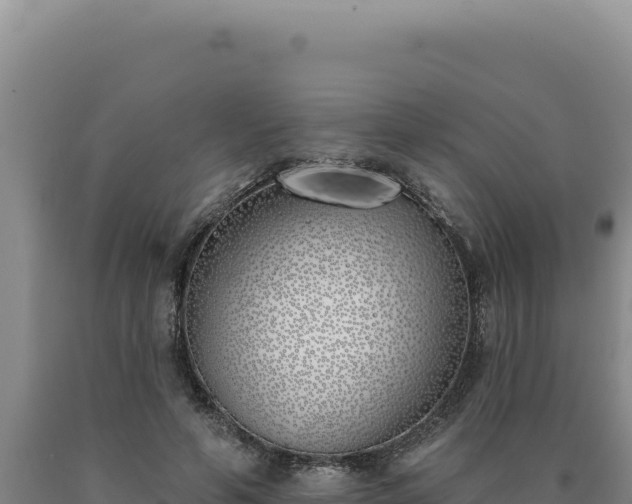 X0000090750594200707271447