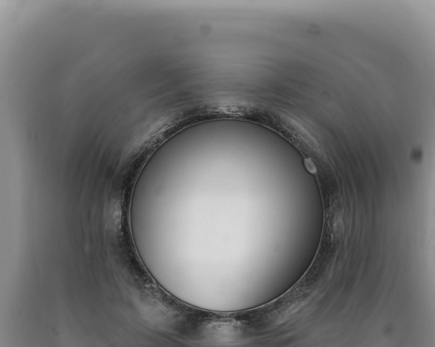 X0000090750595200707271447