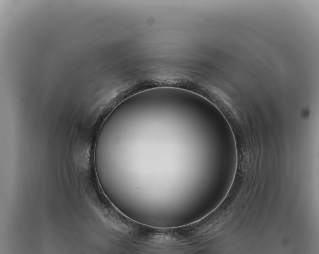 X0000090750596200707271447