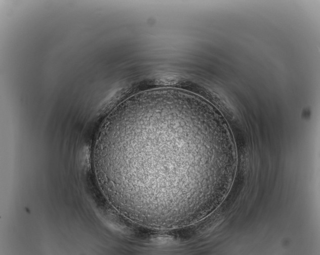 X0000090750598200707271447