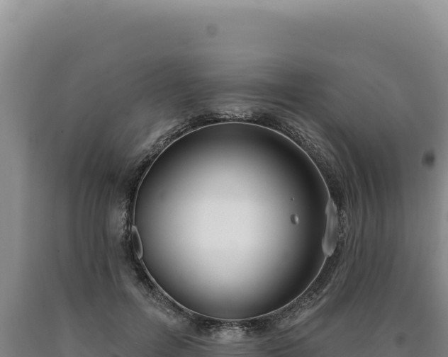 X0000090750600200707271447