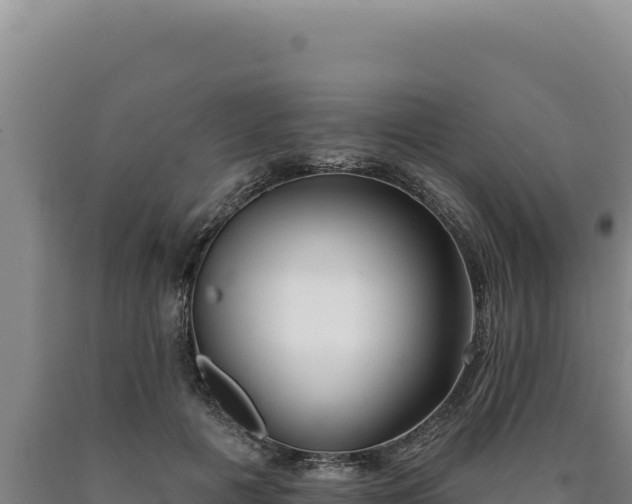 X0000090750601200707271447