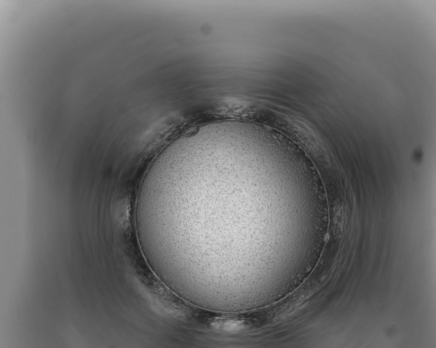 X0000090750602200707271447