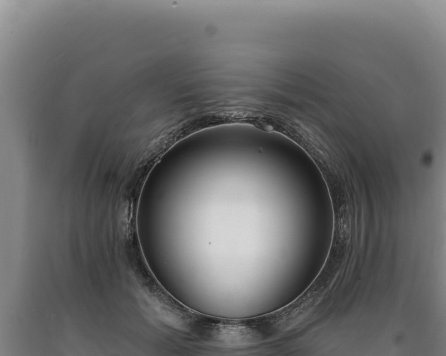 X0000090750605200707271447