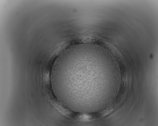 X0000090750610200707271447