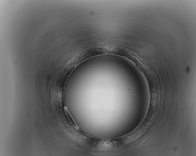 X0000090750613200707271446