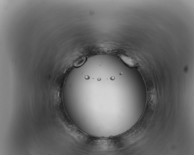 X0000090750615200707271446