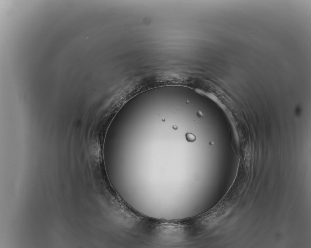 X0000090750617200707271446