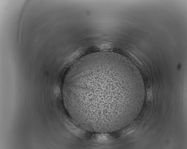 X0000090750618200707271446