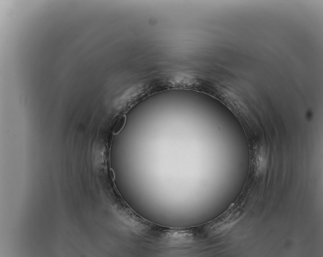 X0000090750619200707271446