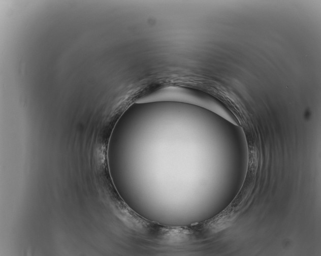 X0000090750621200707271446