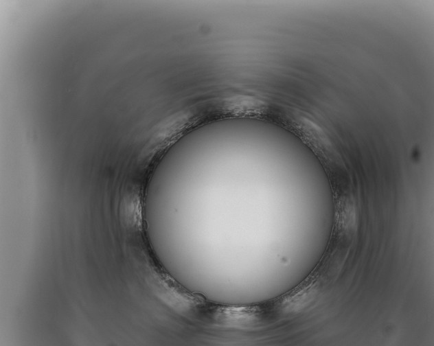 X0000090750622200707271446