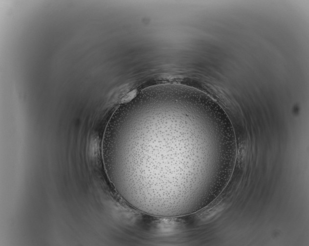 X0000090750623200707271446