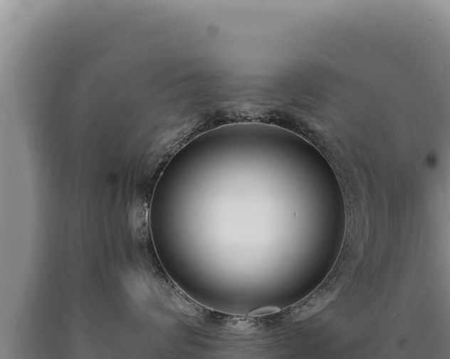 X0000090750624200707271446