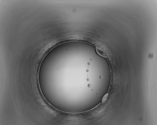 X0000090750625200707271446