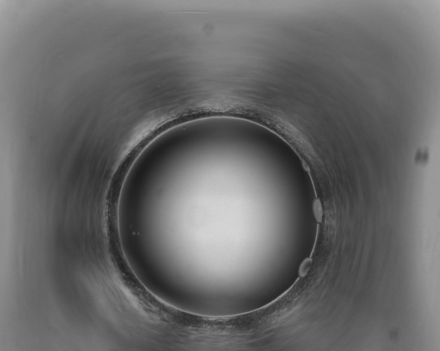 X0000090750626200707271446