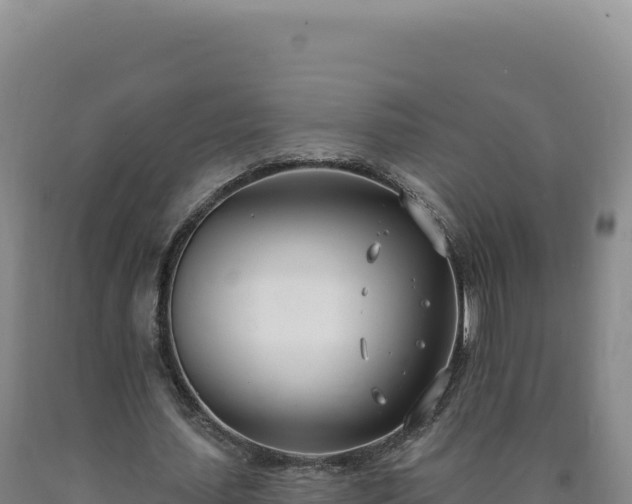 X0000090750627200707271446