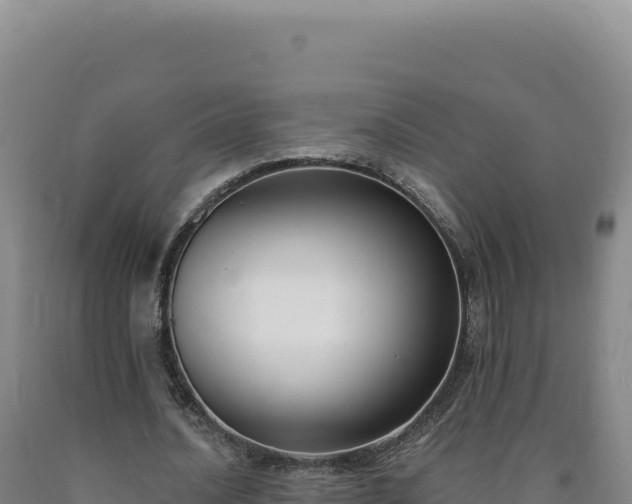 X0000090750628200707271446