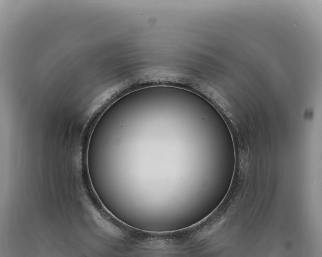 X0000090750629200707271446