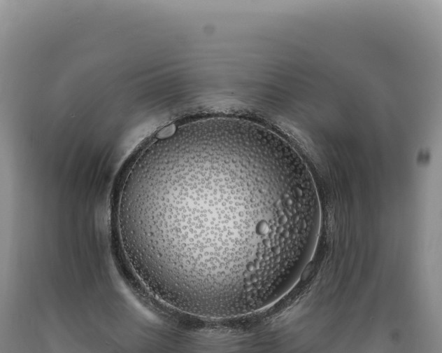 X0000090750630200707271446