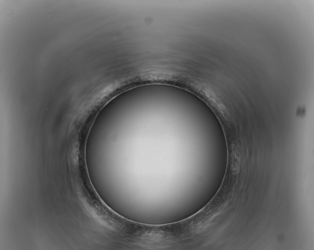 X0000090750631200707271446