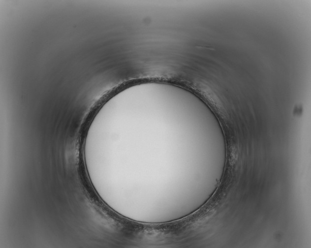 X0000090750632200707271446