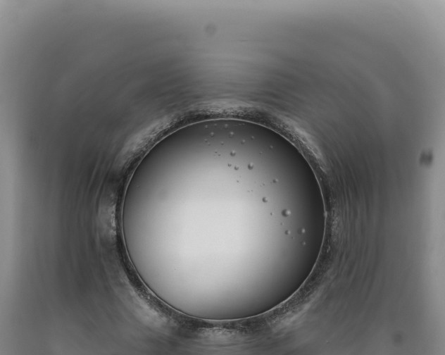 X0000090750633200707271446