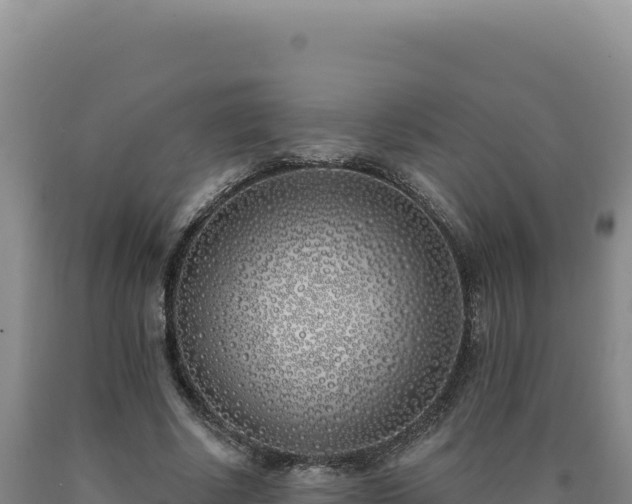 X0000090750634200707271446