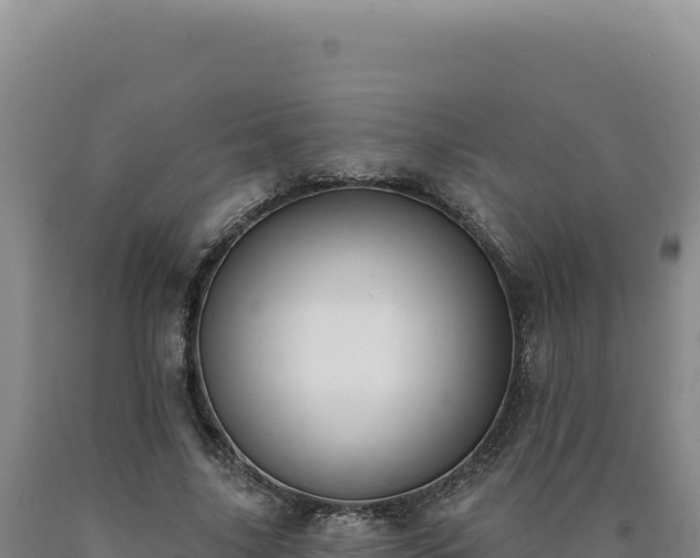 X0000090750635200707271446