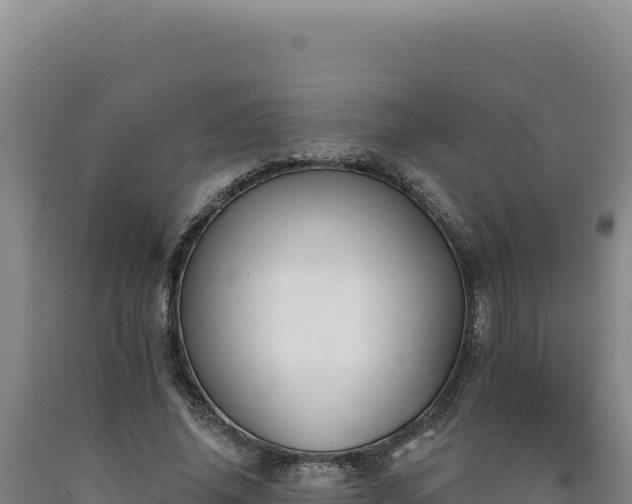 X0000090750636200707271446