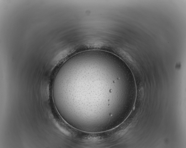 X0000090750638200707271446