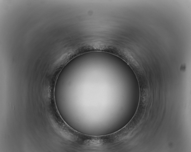 X0000090750639200707271446