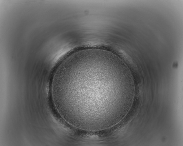 X0000090750640200707271446