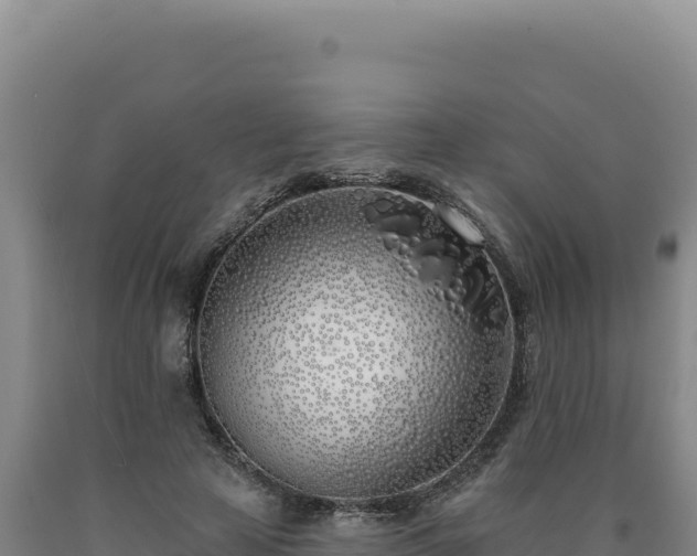 X0000090750641200707271446