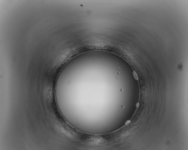 X0000090750642200707271446