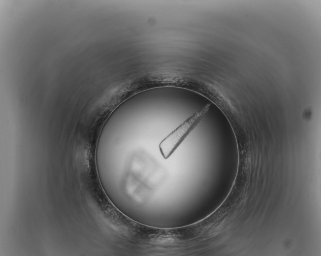 X0000090750643200707271446