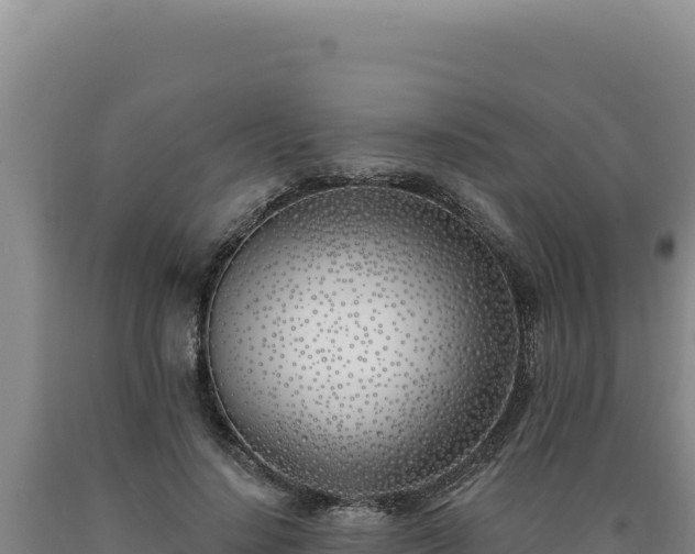 X0000090750644200707271446