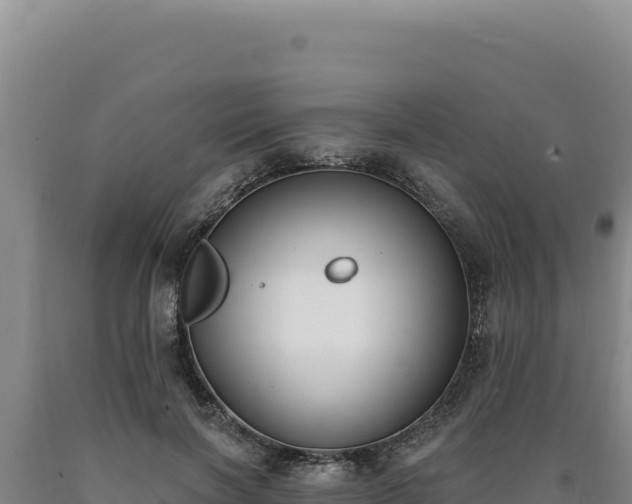 X0000090750646200707271446