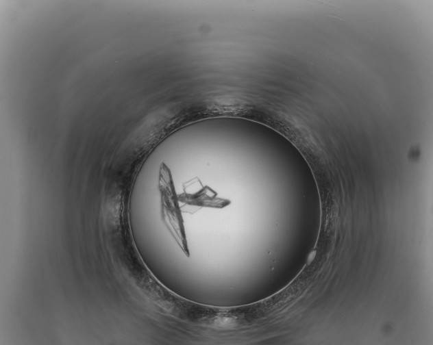 X0000090750647200707271446