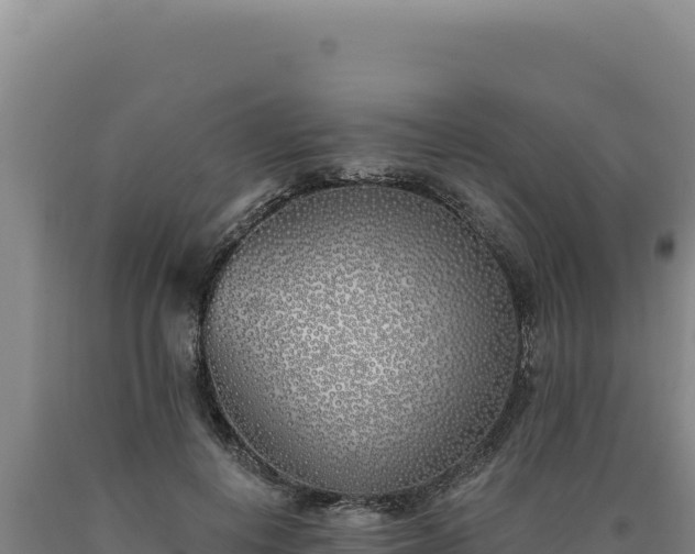 X0000090750648200707271446