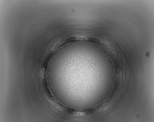 X0000090750649200707271446