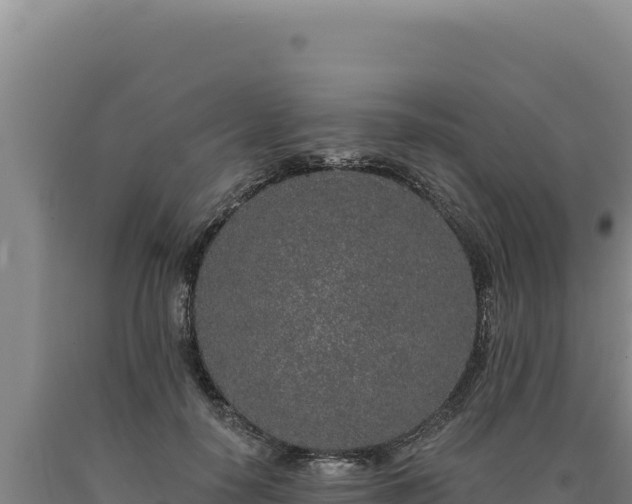 X0000090750650200707271446