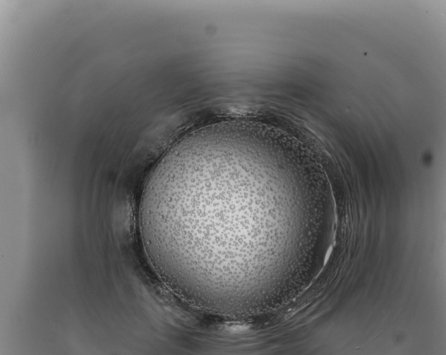 X0000090750651200707271446