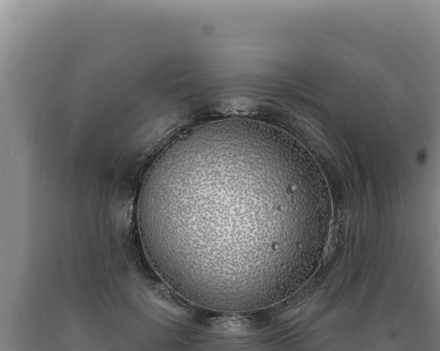 X0000090750652200707271446