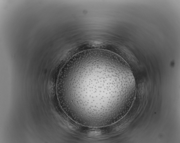 X0000090750653200707271446