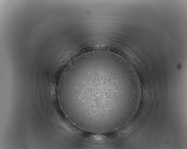 X0000090750654200707271446