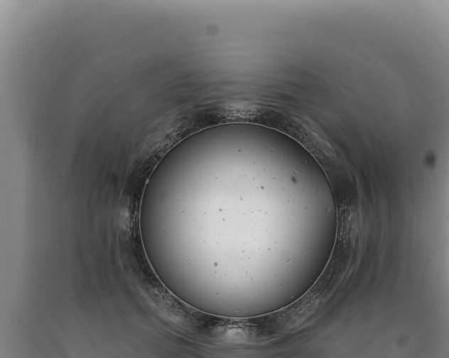 X0000090750655200707271446