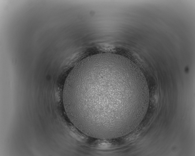 X0000090750658200707271446