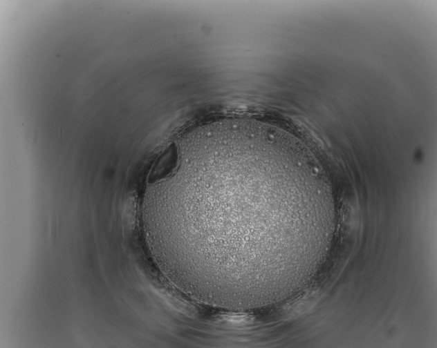 X0000090750659200707271446