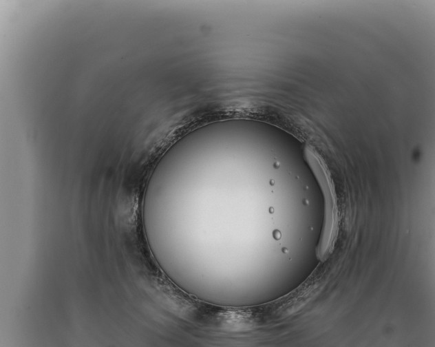 X0000090750660200707271446